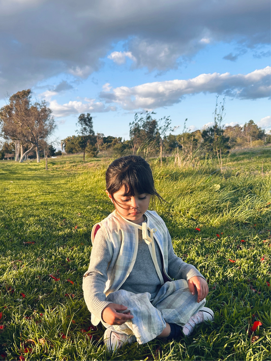 PLAY VEST BLUE PLAID